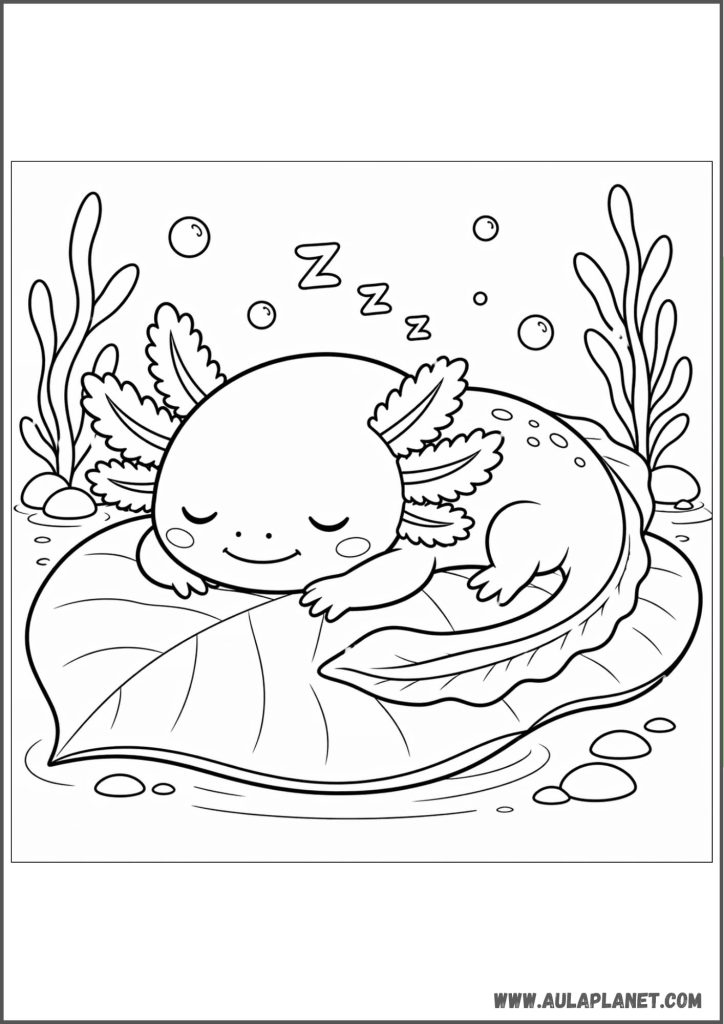 Sleeping Axolotl on a Leaf Coloring Page