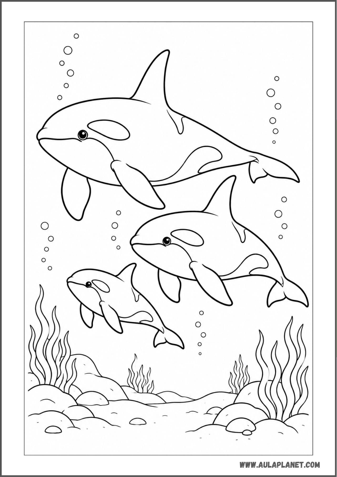 Familia de orcas