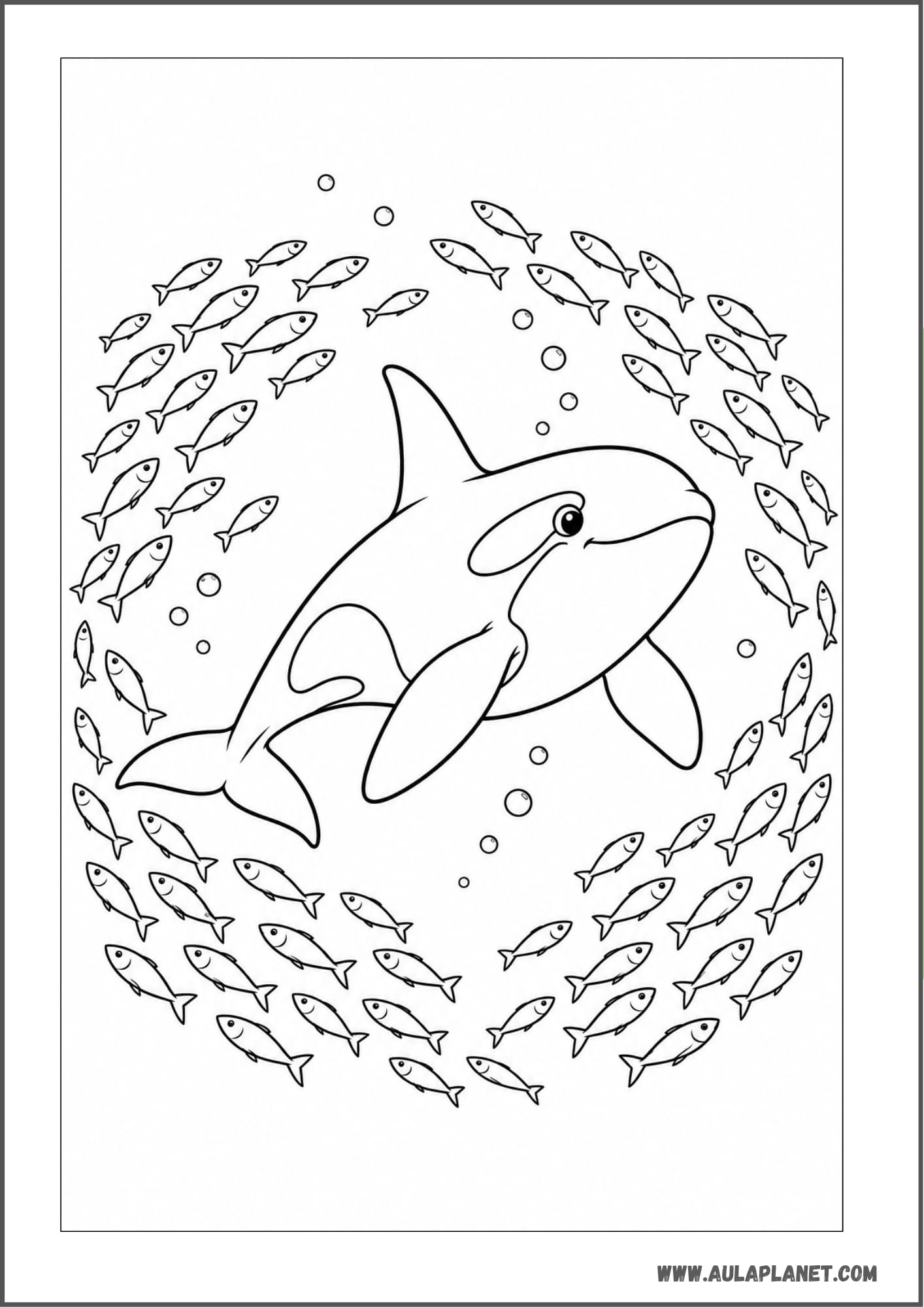 Orca con un banco de peces