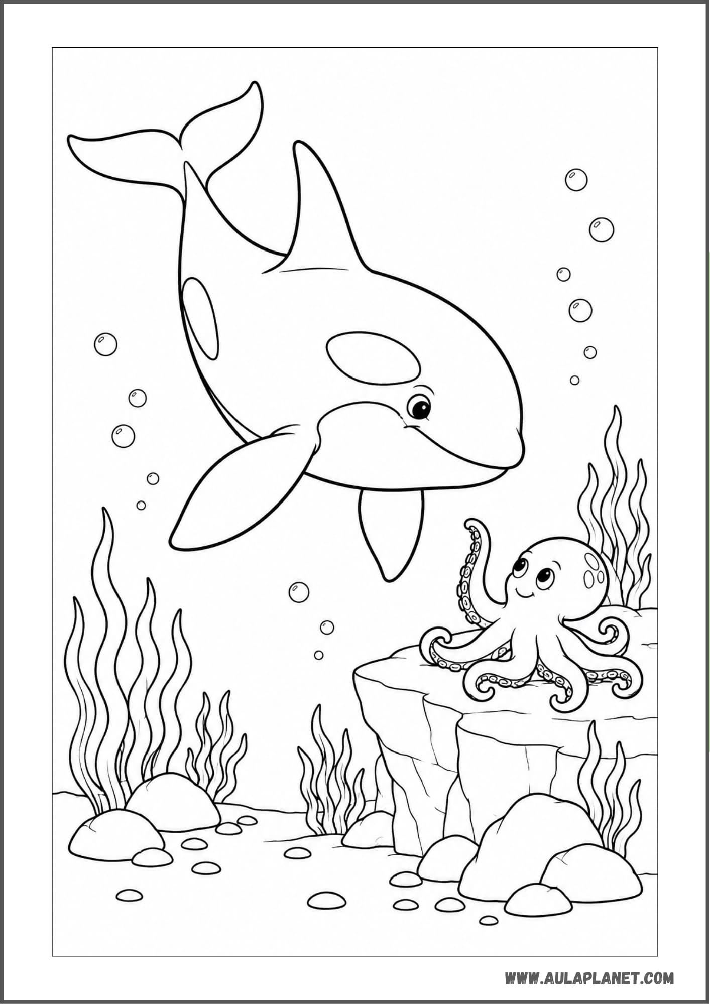 Orca con un pulpo