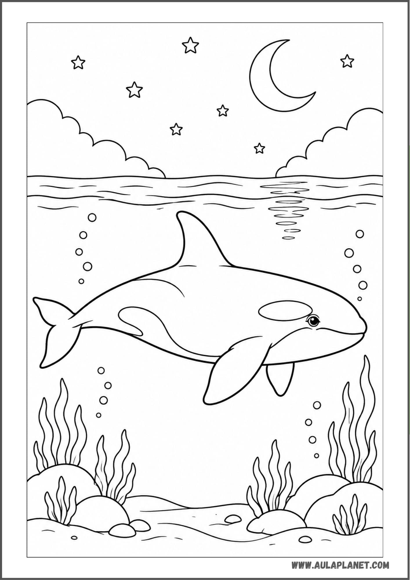 Orca durmiendo en el mar