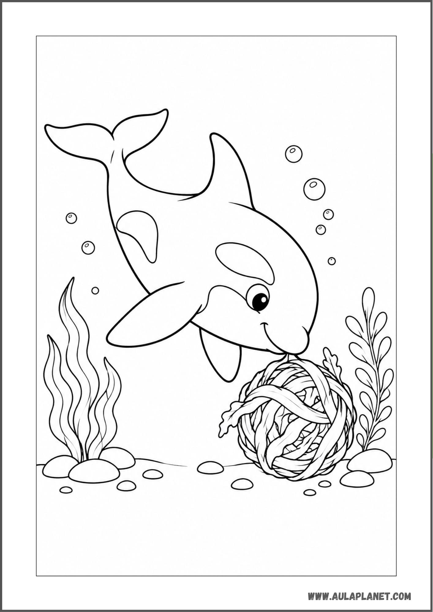 Orca jugando con algas