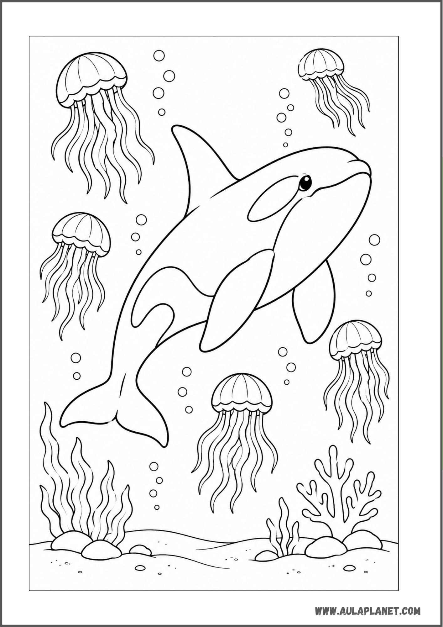 Orca nadando entre medusas